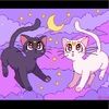 yasmin_eltt